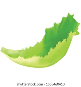 Delicious Fresh green salad for commercial use
