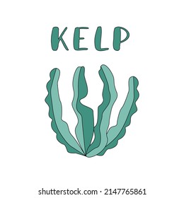 A delicious fresh Kelp seaweed salad sea food vector Illustration on white Background