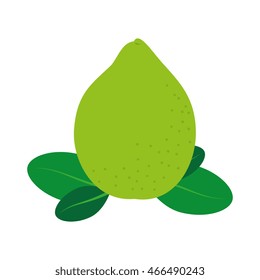 Delicious and fresh lemon fruit, isolated flat icon design vector illustration.