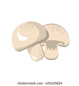 delicious fresh mushrooms organ food