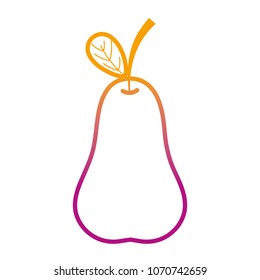 delicious fresh pear organic fruit