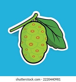 Delicious fresh ripe Noni fruit vector illustration design. Printable Noni sticker