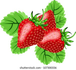 Delicious Fresh Strawberries