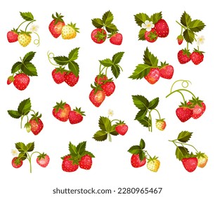 Delicious Fresh Strawberry Berries on Green Stem Big Vector Set