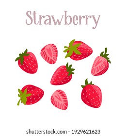 Delicious fresh strawberry, whole and sliced berries. Healthy nutrition product. Vector hand drawn flat isolated illustration with dry brush texture and hand written lettering for your design.