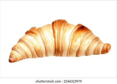 Delicioso croissant recién horneado aislado de hermosa acuarela Pintado Vector de Ilustración