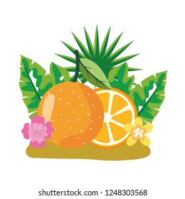 delicious fruit cartoon