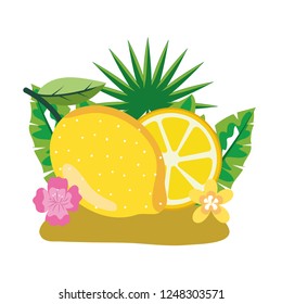 delicious fruit cartoon