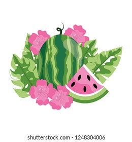 delicious fruit cartoon
