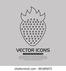 delicious fruit design, vector illustration eps10 graphic 