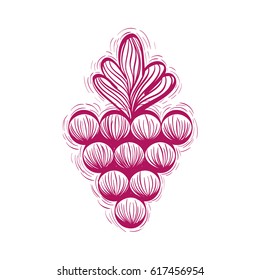 delicious grape fruit icon