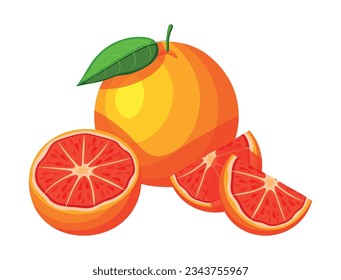 Delicious grapefruit in cartoon style. Vector illustration of fresh and juicy whole grapefruit with green leaf and halves isolated on white background.
