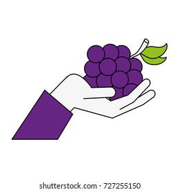 Delicious grapes fruit