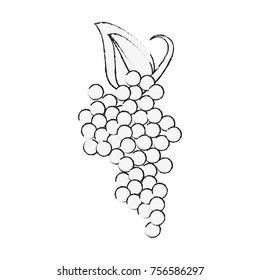 Delicious grapes fruit