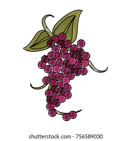 Delicious grapes fruit