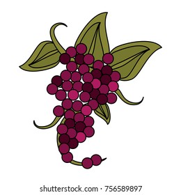Delicious grapes fruit