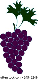 Delicious grapes, illustration, vector on white background.