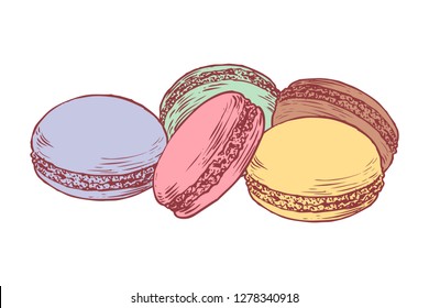 Delicious hand drawn french macarons. Engraving style pen pencil painting retro vintage vector lineart colored illustration on white background. Sweet cookies.