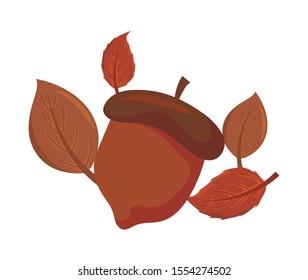 leckere Haselnuss auf weißem Hintergrund Vektorillustration Design