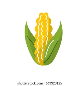 delicious and healthy cob corn food