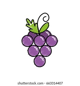 delicious and healthy grape fruit