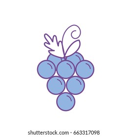 delicious and healthy grape fruit