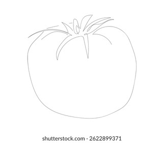 Delicious and healthy ingredient for salads and seasonal food. Continuous single drawn one line  
 tomato hand drawn picture silhouette. Line art doodle.  Hand made vector not Al