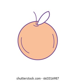 delicious and healthy orange fruit