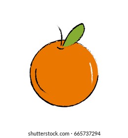 delicious and healthy orange fruit