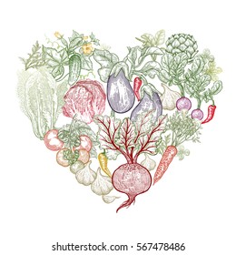 Delicious heart made of vegetables. Vector illustration art set. Beetroot, carrots, tomatoes, cucumbers, radishes, lettuce, garlic, eggplant, artichoke on white background. Vintage hand drawing plants