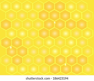 delicious honeycomb