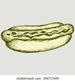 Delicious hot-dog with sausage. Vector Image  