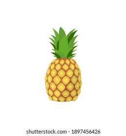 Ananas Images Stock Photos Vectors Shutterstock