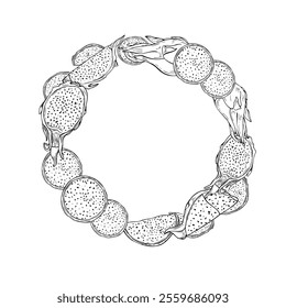 Deliciosas fatias pichaya suculentas com a coroa de vetor desenhada à mão de polpa pintada por tintas pretas. Exótico dragão linha de frutas arte quadro redondo para decoração tropical, receitas de sobremesa de verão e design de menu.