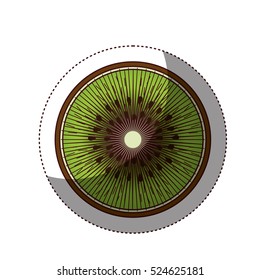 Delicious kiwi fruit icon vector illustration design
