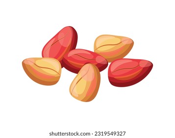 Deliciosas nueces de kola aisladas de fondo blanco. Ilustración vectorial de una sabrosa pila de nueces de kola rojas y amarillas enteras al estilo de las caricaturas. Icono de nueces de Kola. Alimentos saludables y orgánicos.