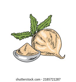 delicious maca superfoods isolated icon