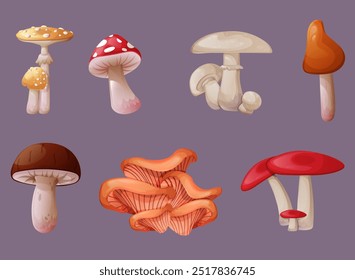 Delicious mushrooms of different shapes and types. Mushroom design. Design of porcini and bright mushrooms