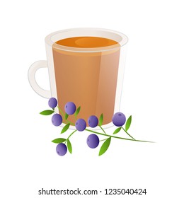 Delicious natural tea with blueberries in a beautiful transparent cup.