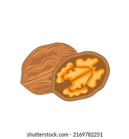 Delicious nut on a white background, illustrative