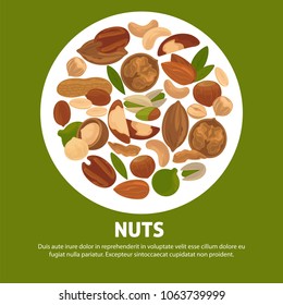 Delicious nutritious nuts advertisement banner with italic sign inside big circle isolated vector illustration