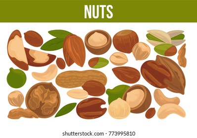 Delicioso cartel publicitario de nueces nutritivas con signo cursiva dentro de un gran círculo ilustración vectorial aislada