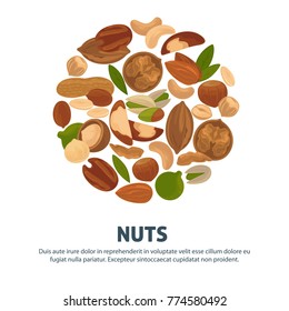 Delicious nutritious nuts advertisement banner with italic sign inside big circle isolated vector illustration