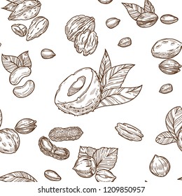 Delicious nutritious nuts full of vitamins and minerals isolated cartoon flat vector