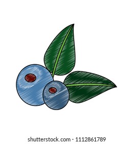 Delicious olives nature scribble