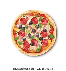 A delicious olives and pepperoni pizza vector illustration