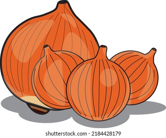 delicious onion vector illustration image