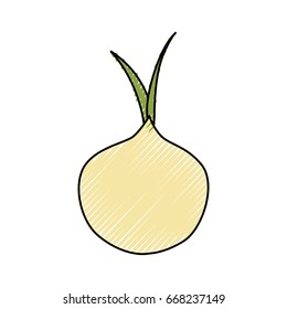 delicious onion vegetable