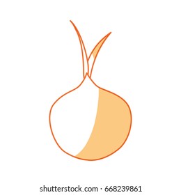 delicious onion vegetable