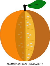 a delicious orange cut in half